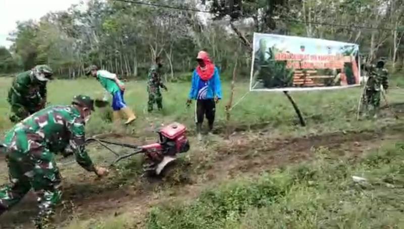 Dukung Ketahanan Pangan, Koramil 01/Bkn Traktor Lahan Demplot Tanaman Jagung