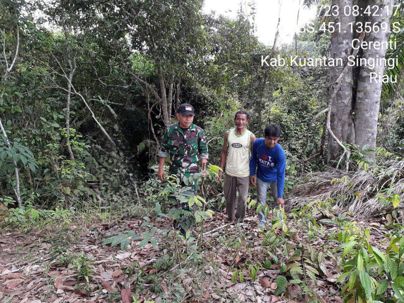 Tingkatkan Pengawasan Karlahut, Sertu Efison Babinsa Koramil 06/ Cerenti Kodim 0302/ Inhu Laksanakan Patroli
