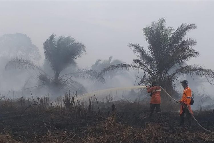 Karhutla Riau Habiskan Rp468 Miliar Anggaran BNPB