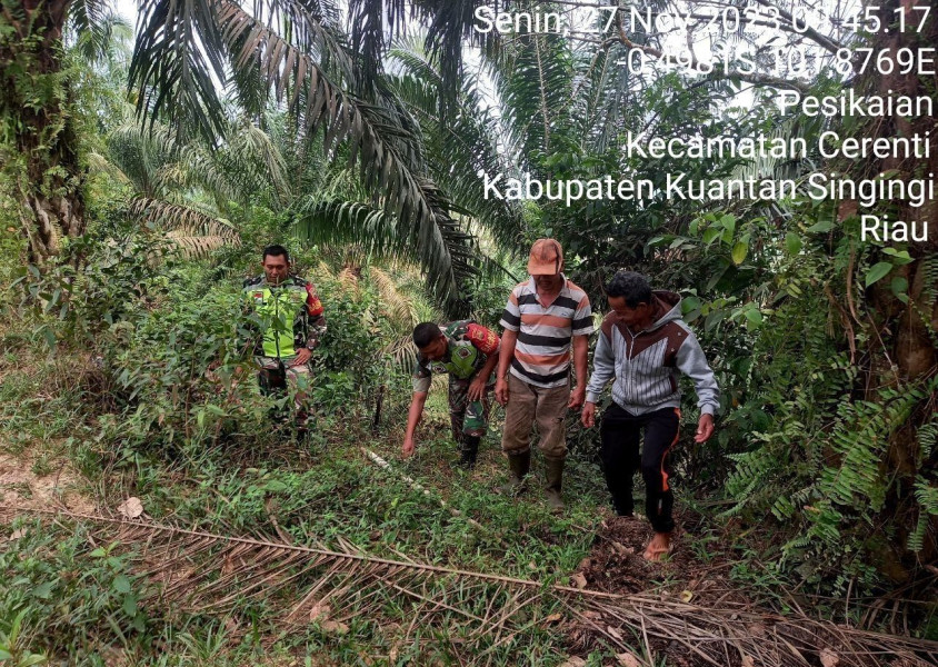 Di Desa Pesikaian Kecamatan Cerenti Serda Dumen Siregar Dan Kopda Mohamad Soleh Babinsa Koramil 06/Cerenti Kodim 0302/Inhu Laksanakan Patroli Dan Sosialisasi Untuk Cegah Kebakaran Hutan Dan Lahan