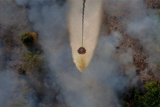 Karhutla di Riau, Pemadaman Dikerahkan dari Darat dan Udara