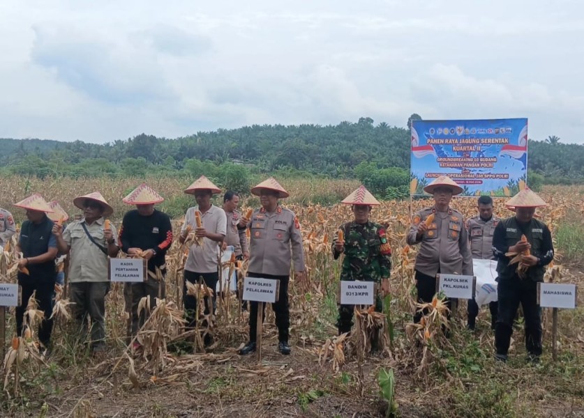 Perkuat Sinergi Pangan, Kapolsek Teluk Meranti Hadiri Panen Raya Jagung di Desa Betung