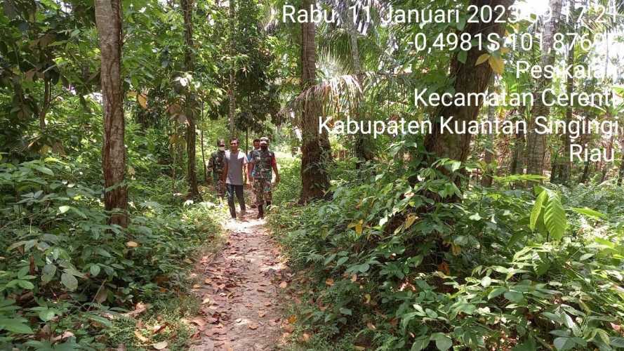 Di Pesikaian Kecamatan Cerenti, Babinsa Koramil 06/Cerenti Kodim 0302/Inhu Laksanakan Patroli Untuk Cegah Kebakaran Hutan Dan Lahan