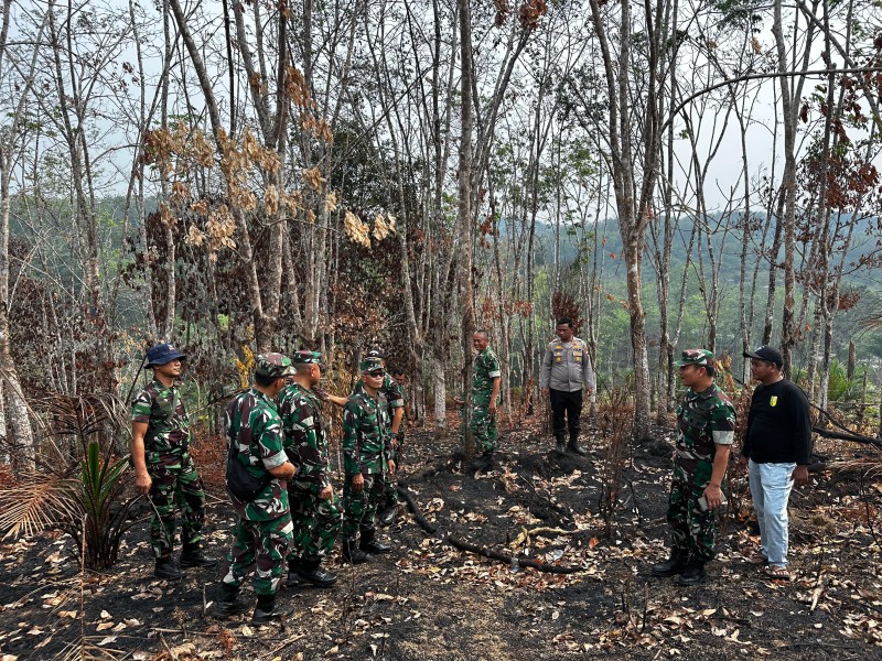 Tim Gabungan TNI Turun Langsung Cegah Karhutla  Di Kuansing