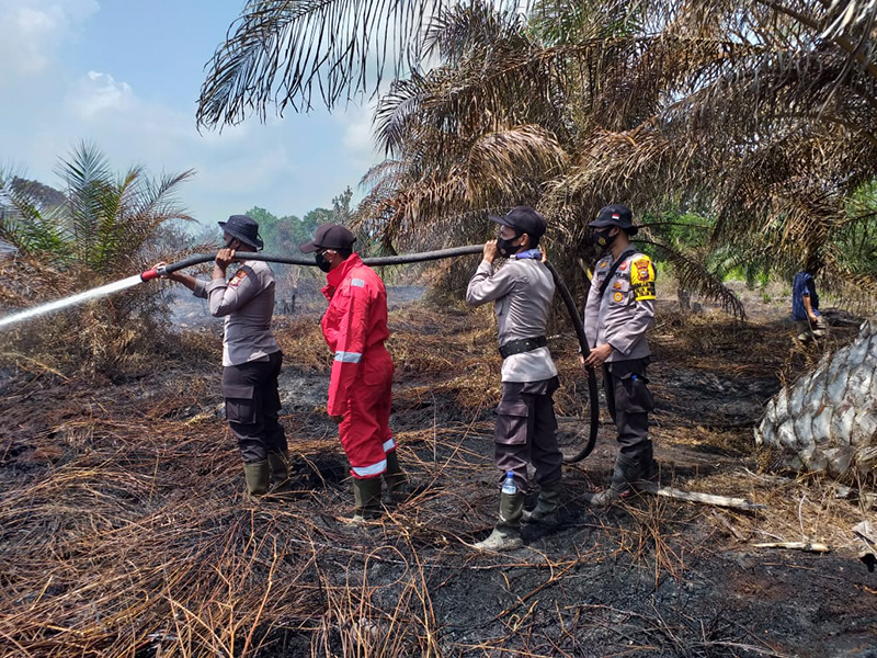 Polsek Teluk Meranti Lakukan Pemadaman di Titik Api yang Terpantau Aplikasi Lancang Kuning