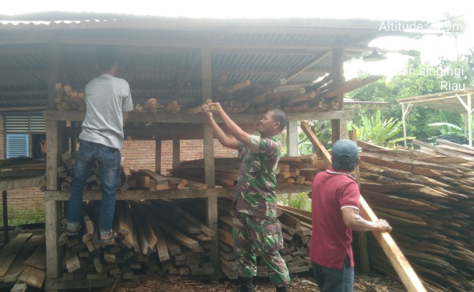 Anggota Koramil 06/Cerenti Kodim 03302/Inhu Babinsa Gotong Royong Dengan Masyarakat Membantu Pindahin Kayu Milik Warga