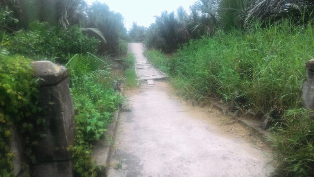 Tiga Jembatan di Kecamatan Batang Tuaka Inhil Terancam Ambruk