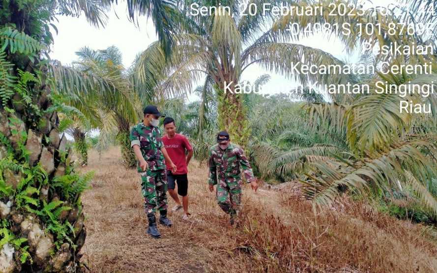 Di Pesikaian Babinsa Koramil 06/Cerenti Kodim 0302/Inhu Laksanakan Patroli Untuk Cegah Kebakaran Hutan Dan Lahan