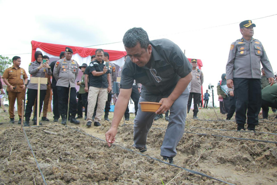 Pekanbaru Mendukung Program Penanaman Jagung Serentak untuk Meningkatkan Kemandirian Pangan Nasional