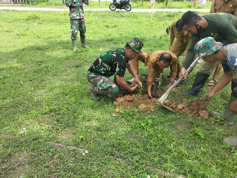 Satgas TMMD, Melakukan Kegiatan Penanaman Pohon DI Pekan Heran  Dalam Program TMMD Ke-120 Kodim 0302/Inhu