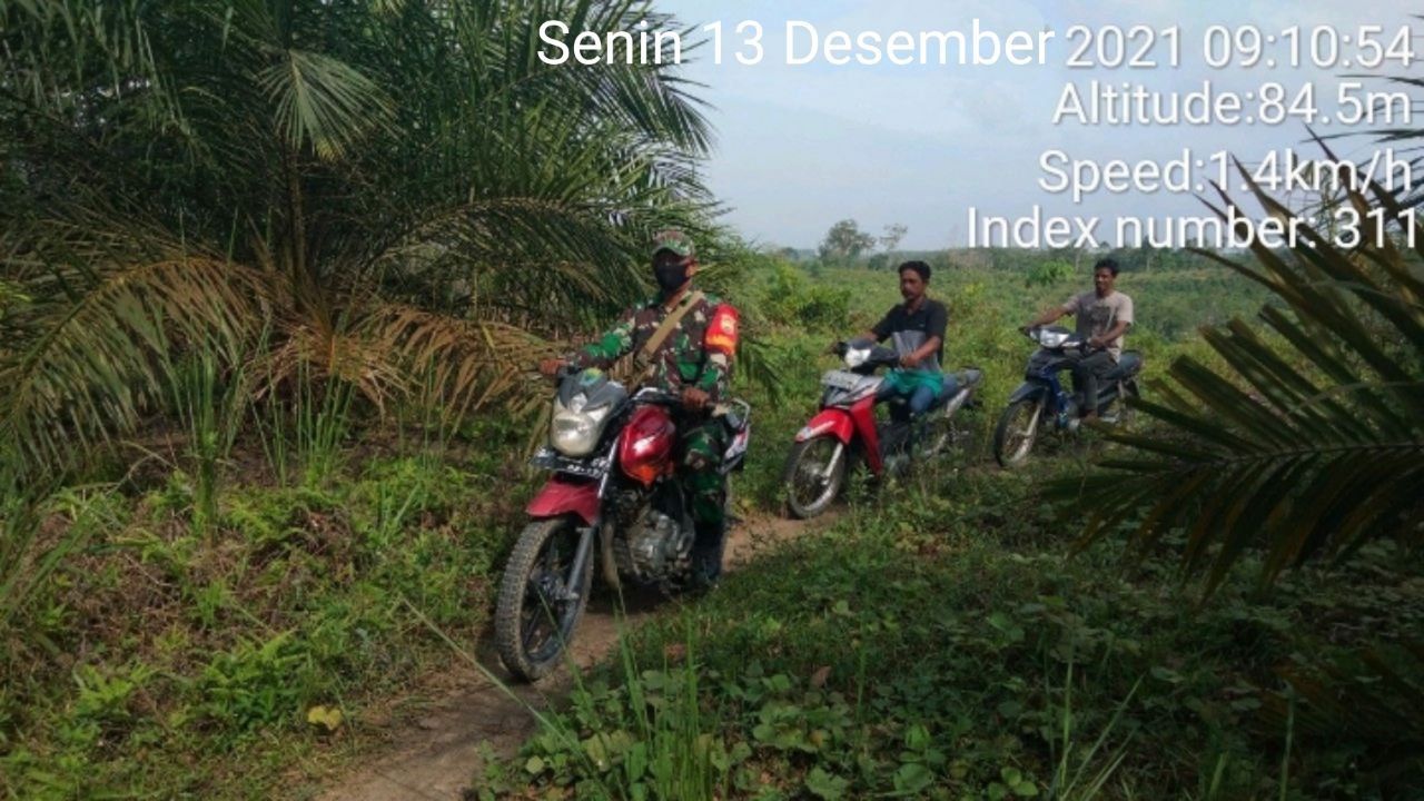 Babinsa Koramil 06/Cerenti Dim 0302/Inhu,Serda Juanda Bersama Anggota Lainnya Gelar Patroli Dan Sosialisasi Pencegahan Karhutla di Koto Cerenti Kecamatan Cerenti Kabupaten Kuansing
