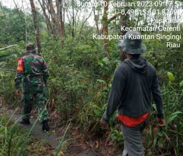 Babinsa Koramil 06/Cerenti Kodim 0302/Inhu Bersama Warga Laksanakan Patroli Untuk Cegah Kebakaran Hutan Dan Lahan di Wilayah Teritorialnya 