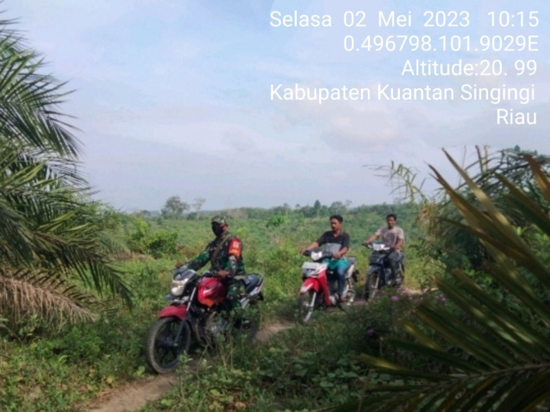 Di Wilayah Teritorialnya Babinsa Koramil 06/Cerenti Kodim 0302/Inhu Laksanakan Patroli Untuk Cegah Kebakaran Hutan Dan Lahan