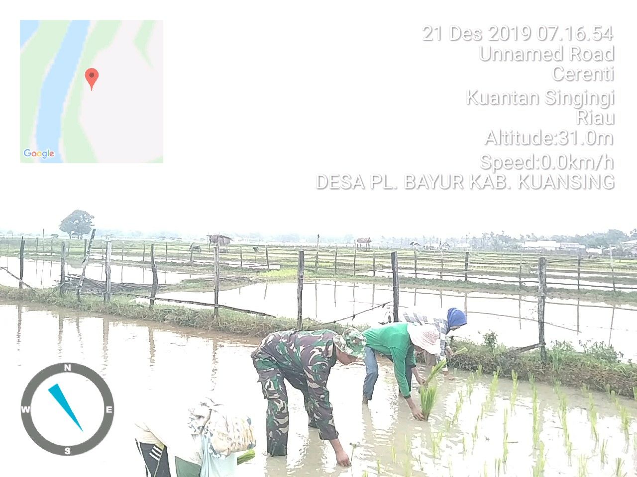 Babinsa Koptu Juanda Turun Ke Sawah Dampingi Petani Tanam Padi.