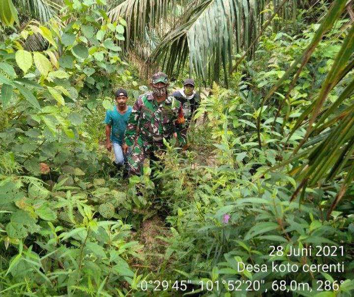 Babinsa Koramil 06/Cerenti Dim 0302/Inhu Patroli dan Sosialisasi Tentang Bahaya Karhutla Di Wilayah Binaannya