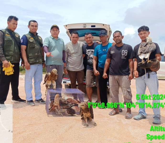 BBKSDA Riau Selamatkan 7 Elang Dilindungi dari Wisata Gurun Telaga Biru Bintan