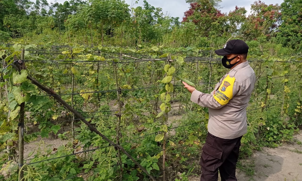 Personel Polsek Langgam Cek Lokasi Program Kampung Tangguh