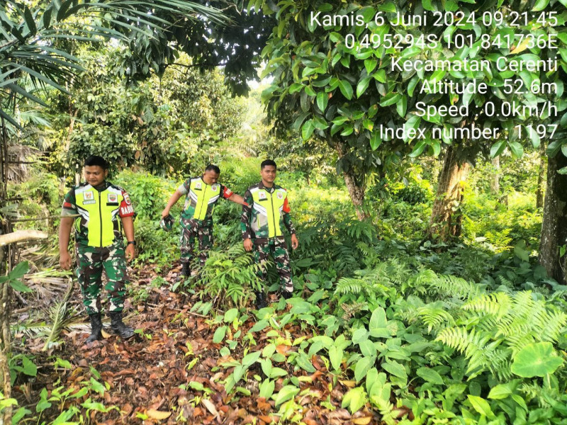 Setiap Hari, Babinsa Koramil 06/Cerenti Kodim 0302/Inhu Patroli  Bahaya Karhutla Di Kompe Berangin