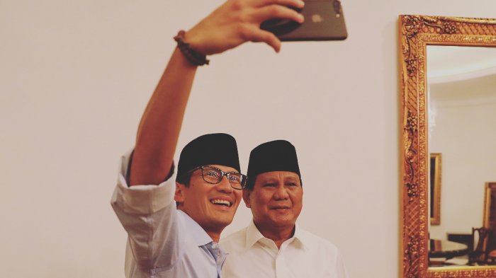 Kubu Jokowi: Urus Wagub DKI Saja Bertele-tele, Bagaimana Mengurus Negara?