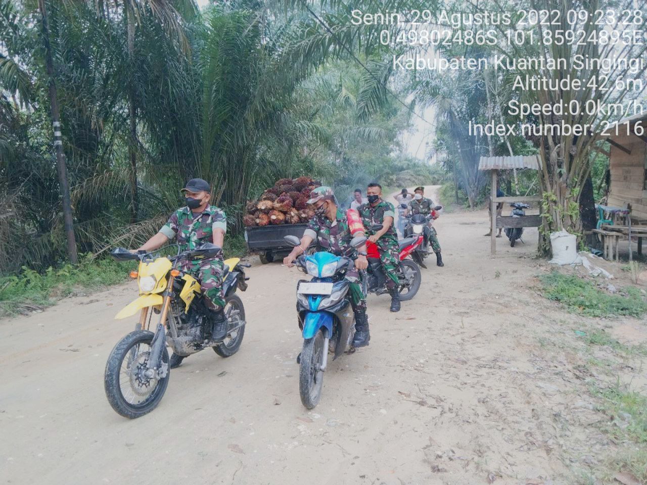 Babinsa Koramil 06/Cerenti Kodim 0302/Inhu Laksanakan Patroli Untuk Cegah Kebakaran Hutan Dan Lahan di Pulau Panjang Cerenti Kecamatan Cerenti