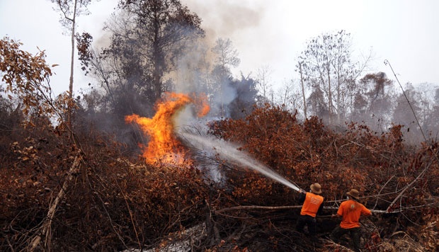 Puluhan Hektare Lahan Milik Pemkab Bengkalis Terbakar