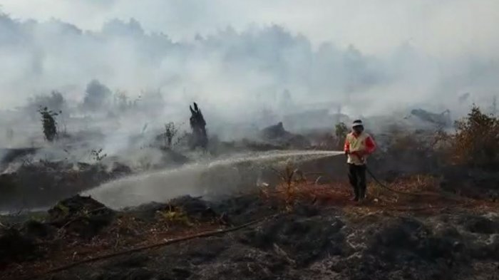 Selama Januari Sampai Maret 2019, 1.409,92 Ha Lahan di Riau Terbakar