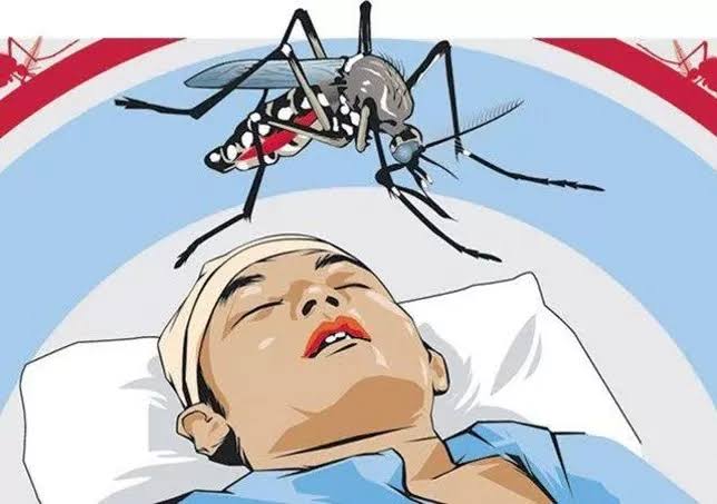 Waspada! Ratusan Kasus DBD Terjadi di Pekanbaru, Dua Orang Meninggal Dunia