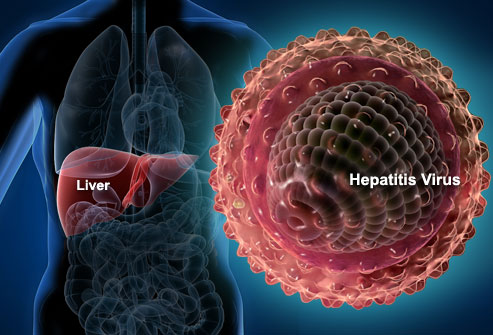 Dumai Dipercaya Jadi Percontohan Pengendalian Hepatitis di Riau
