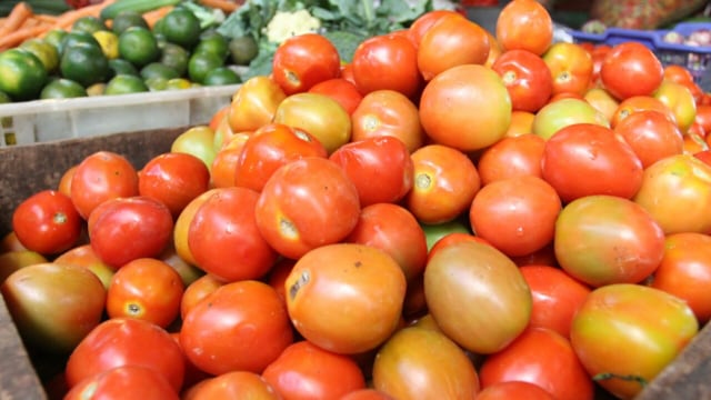 Hati-hati, Tomat Bisa Berdampak Buruk Bagi Penderita Penyakit Ini