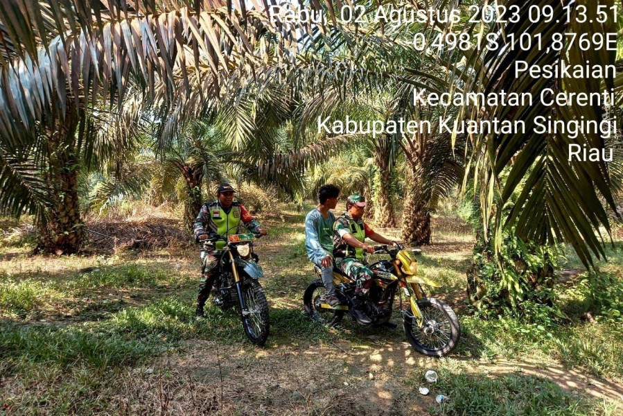 Sertu Firman Dan Kopda Mohamad Soleh Babinsa Koramil 06/Cerenti Kodim 0302/Inhu Laksanakan Patroli Dan Sosialisasi Untuk Cegah Karhutlah