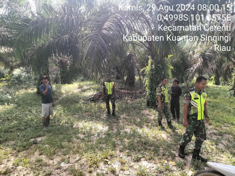 Peduli Dengan Lingkungan Masyarakat Babinsa Koramil 06/Cerenti Kodim 0302/ Inhu Pratu Reki Gunawan  Bersama Warga Desa Bahu Membahu Lakukan Patroli Karlahut Di Desa Binaan