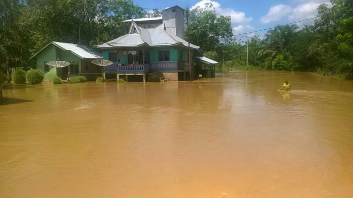 Lubuk Kembang Bunga Tergenang Hingga 1 Meter, BPBD Pelalawan Turunkan Tim