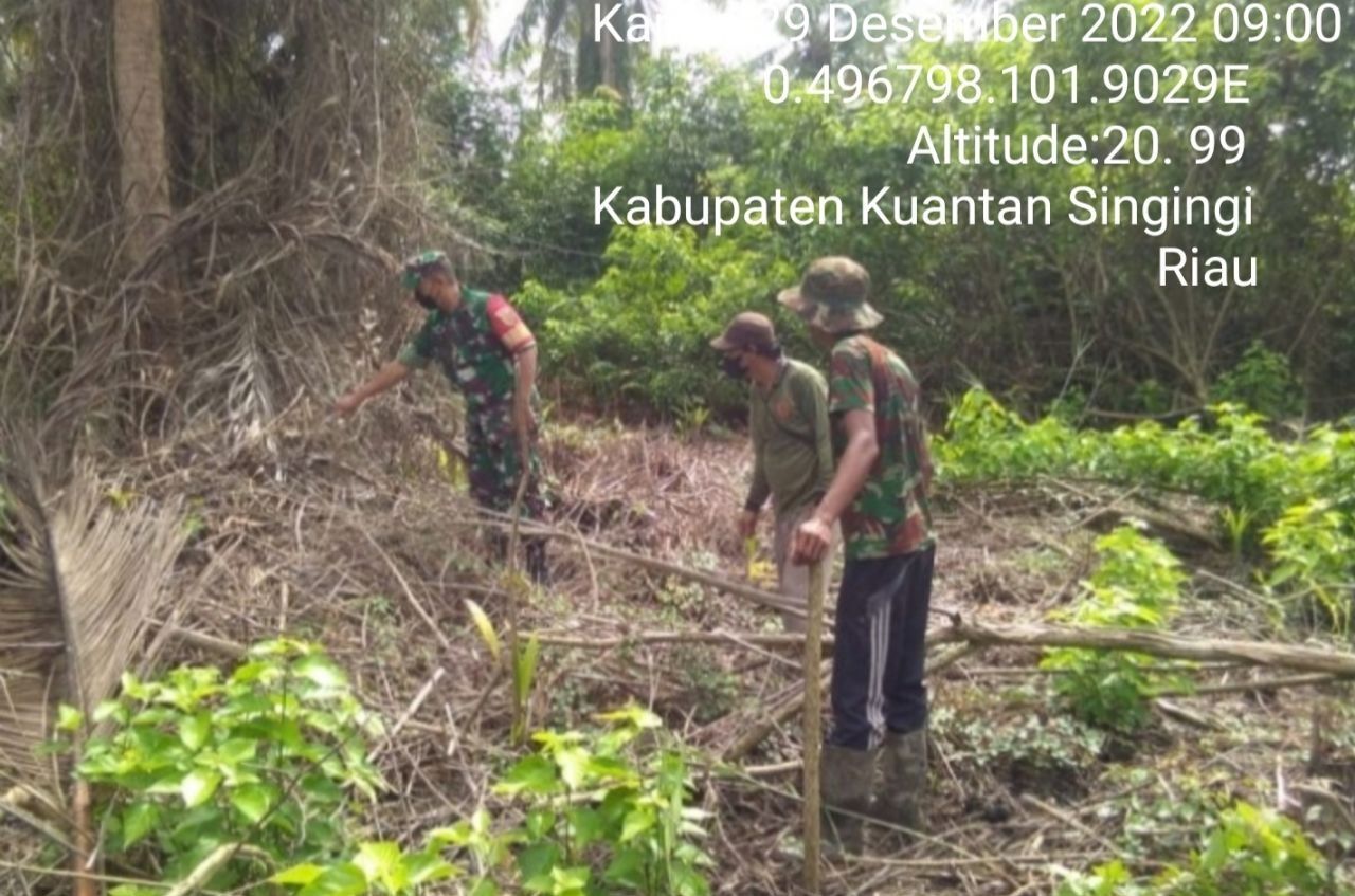 Babinsa Koramil 06/Cerenti Kodim 0302/Inhu Laksanakan Patroli Untuk Cegah Kebakaran Hutan Dan Lahan di Pulau Panjang 
