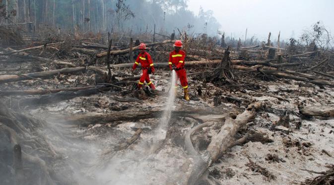 BNPB: Asap Karhutla Riau Mulai Masuk ke Singapura