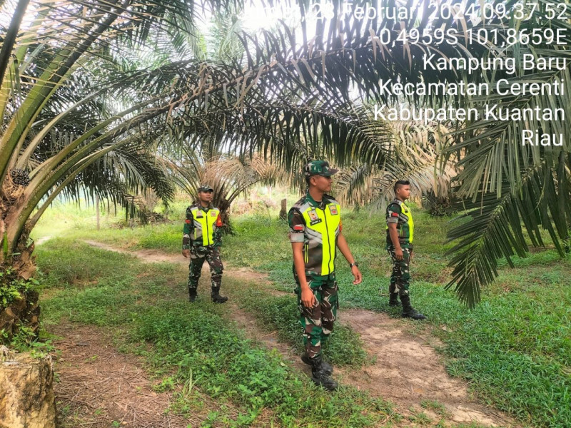 Pratu Cumaidi Dan Pratu Dandy Babinsa Koramil 06/Cerenti Kodim 0302/Inhu Patroli Karhutla 