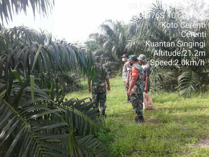 Cek Wilayah Binaan Untuk Antisipasi Karhutlah, Babinsa Koramil 06/Cerenti Dim 0302/Inhu Lakukan Patroli Pencegahan Karhutlah di Koto Cerenti 