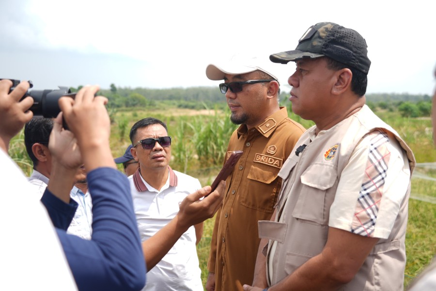 Bekas Tambang Disulap Jadi Lahan Pertanian Produktif,  Bupati Kuansing Dorong Program IP 200