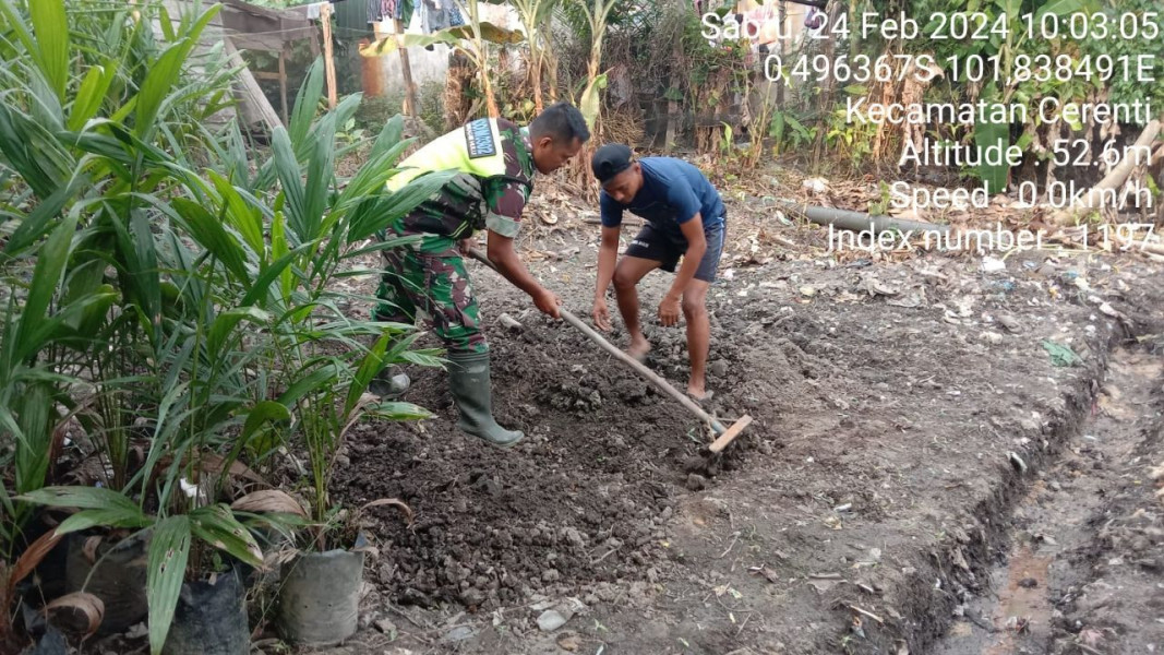Babinsa Koramil 06/ Cerenti Kodim 0302/Inhu Membantu Warga Desa Binaan Membuat Bedengan 