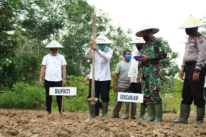Bupati Kuansing H. Mursini Hadiri Penyerahan Pupuk Dan Benih Padi Di Desa Kinali Kecamatan Kuantan Mudik.