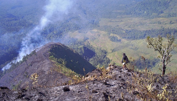 Taman Nasional Gunung Rinjani Kebakaran, Ulah Pendaki?
