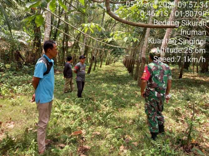 Sertu Heriyus Saputera Cegah Karhutla Babinsa Koramil 06/Cerenti Dim 0302/Inhu Berikan Pemahaman Kepada Warga Tentang Karhutlah Serta Patroli Diwilayah Binaan