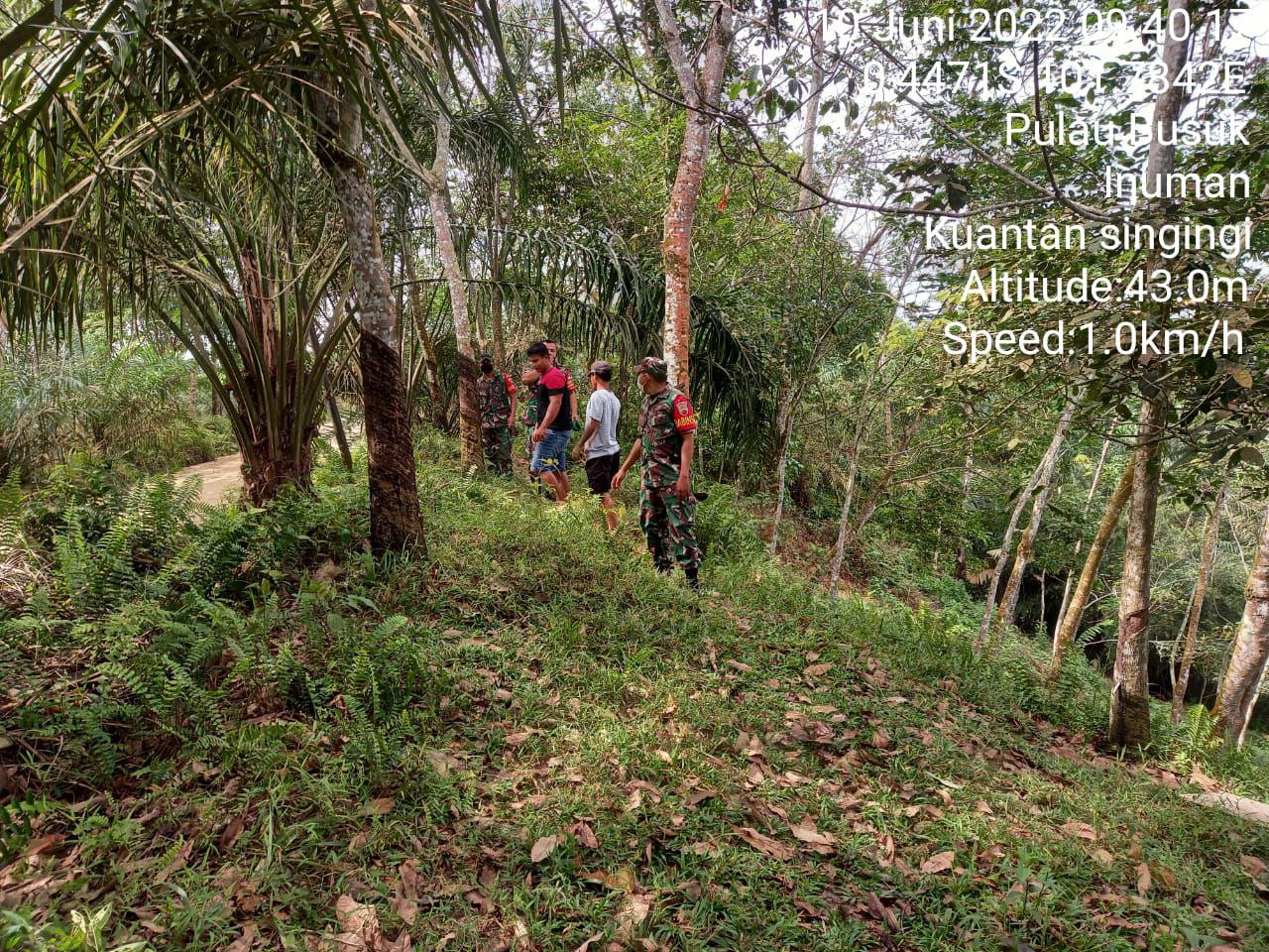 Babinsa Koramil 06/Cerenti Kodim 0302/Inhu, Walaupun Terkadang Hujan Dan Kadang Panas Babinsa Tetap Lakukan Patroli Karhutla di Pulau Busuk Inuman