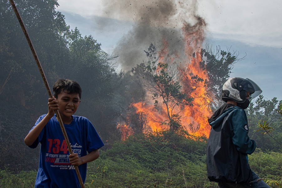 BNPB Lakukan Operasi Modifikasi Cuaca untuk Atasi Karhutla di Riau