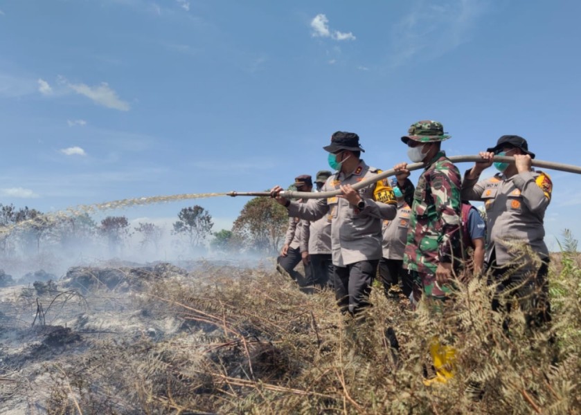 98 Personel Gabungan Diterjunkan Padamkan Karhutla di Rokan Hilir, Kapolda Riau Tegaskan Sanksi Hukum