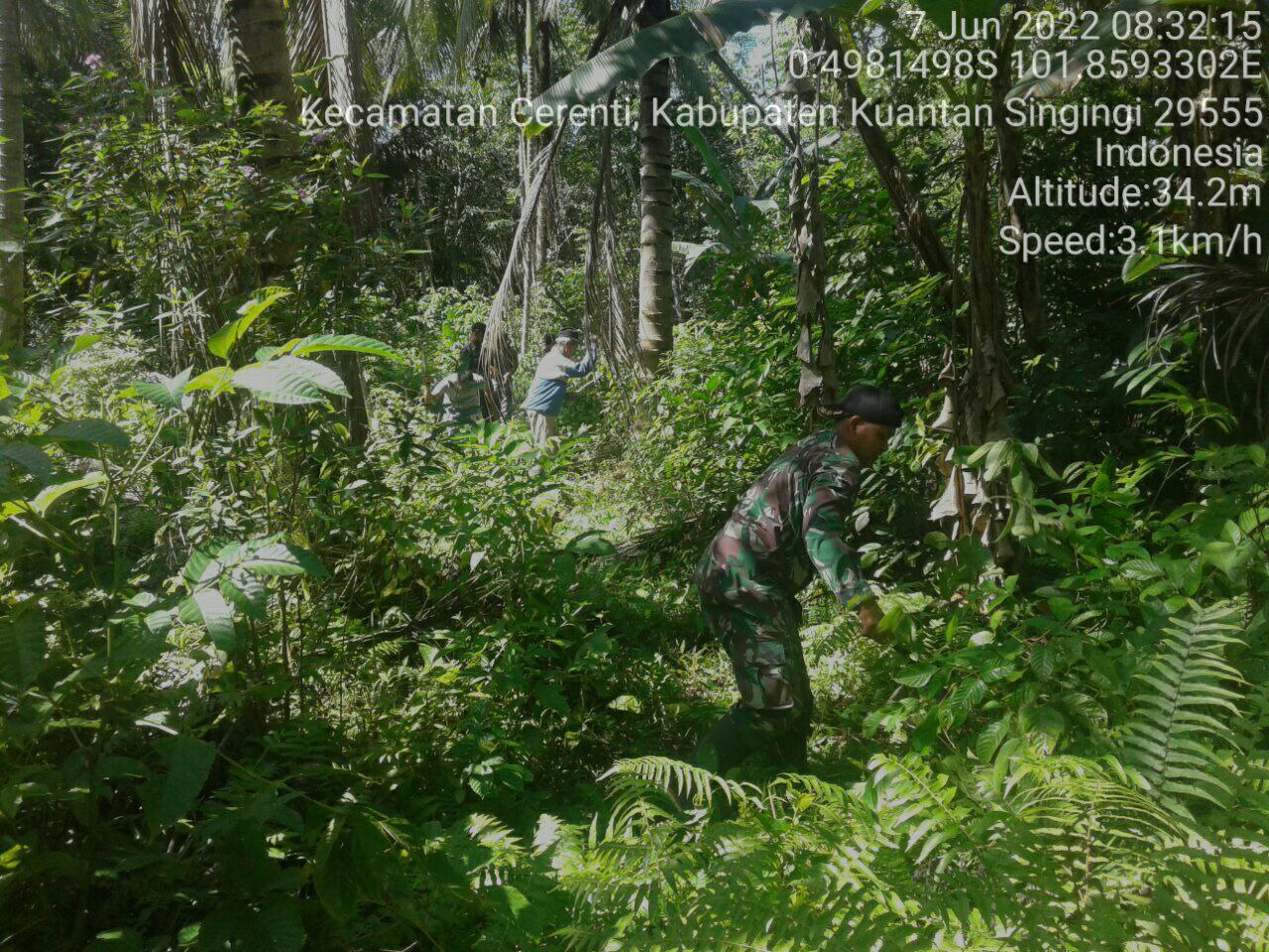 Babinsa Koramil 06/Cerenti Kodim 0302/Inhu Peduli Terhadap Lingkungan Babinsa Gotong Royong Bersama Masyarakat di Desa Kompe Berangin