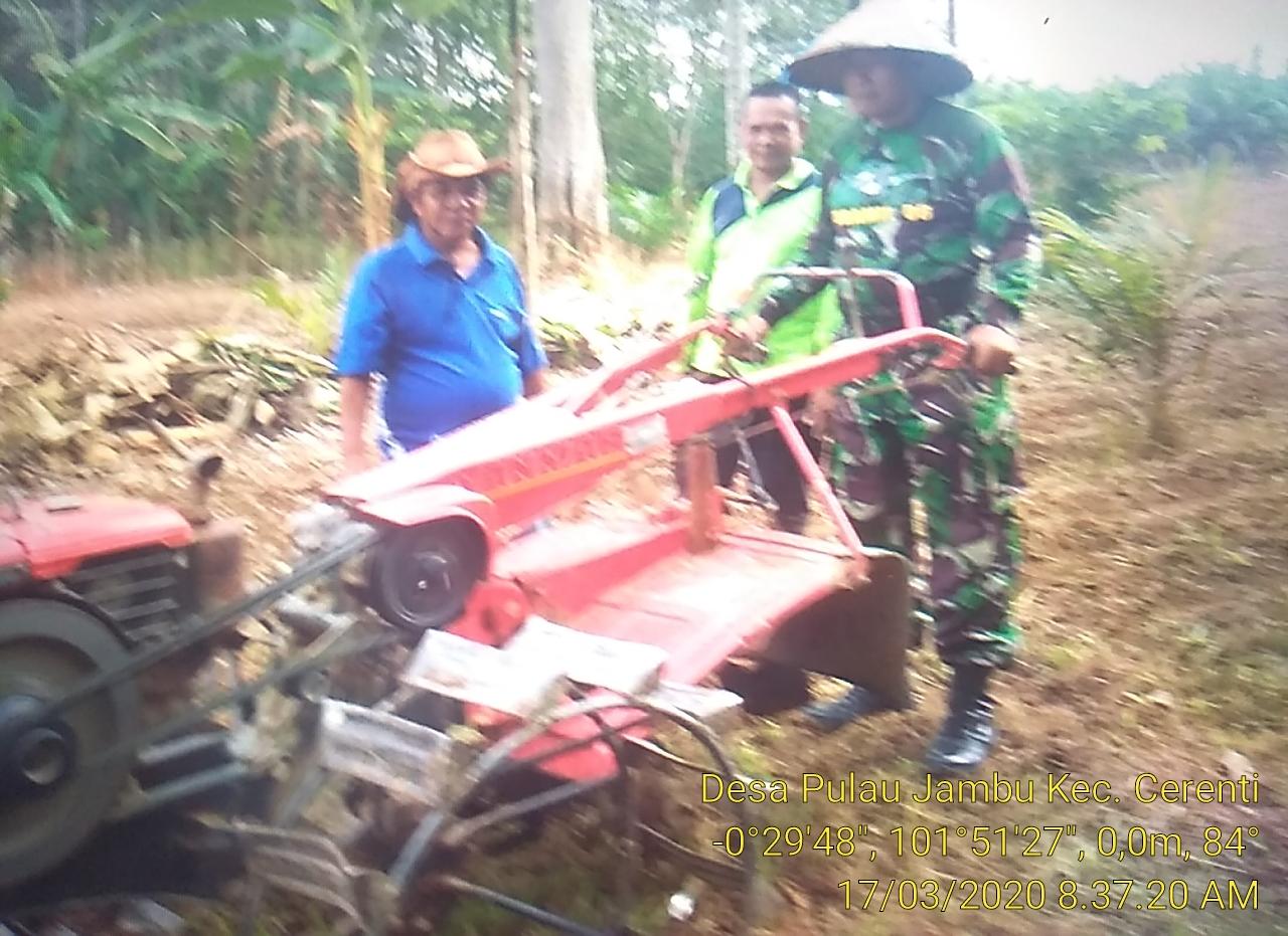 Babinsa Koramil 06/Cerenti Dim 0302/Inhu Serda Firman Bantu Petani Siapkan Lahan Penanaman Palawija. 