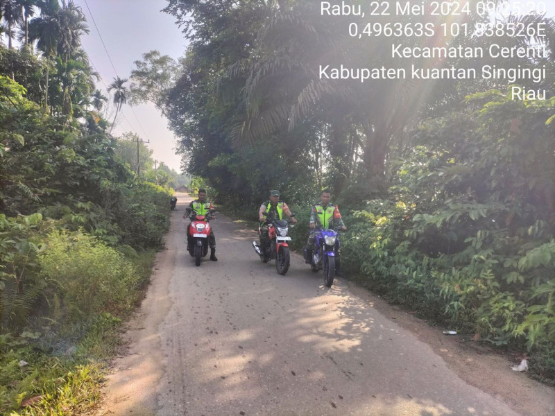 Babinsa Koramil 06/ Cerenti Kodim 0302/Inhu di Desa Tanjung Medan Laksanakan Patroli  Pencegahan Kebakaran Hutan Dan Lahan