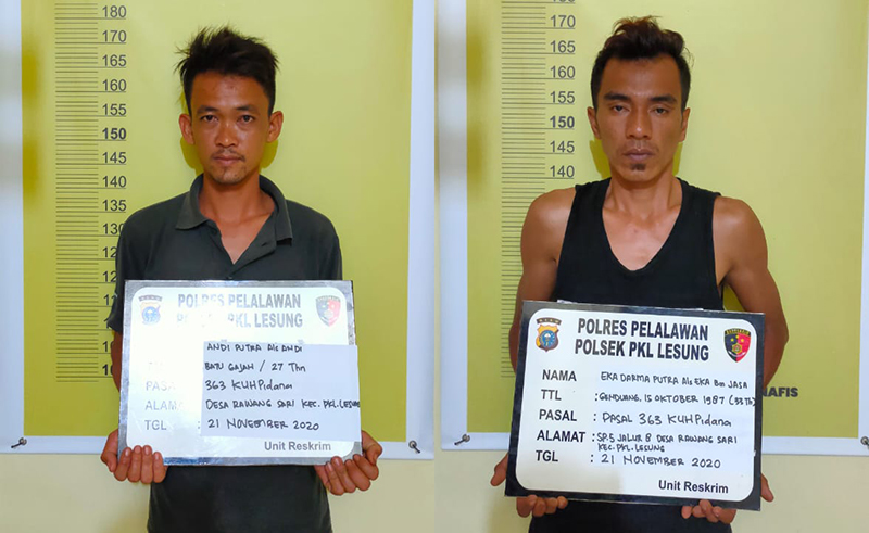 Polsek Pangkalan Lesung Amankan Pelaku Pencurian Buah Kelapa Sawit milik PT SLS