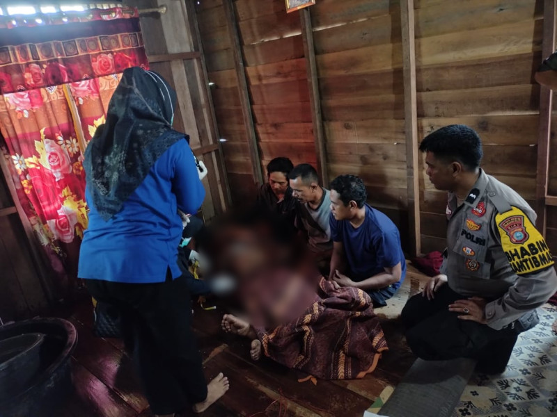 Bocah 11 Tahun di Inhil Tewas Diterkam Buaya Saat Mandi