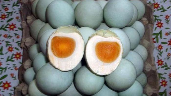 Awas! Inilah Bahaya Telur Bebek yang Harus Kamu Ketahui